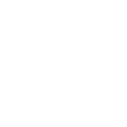 P4P
