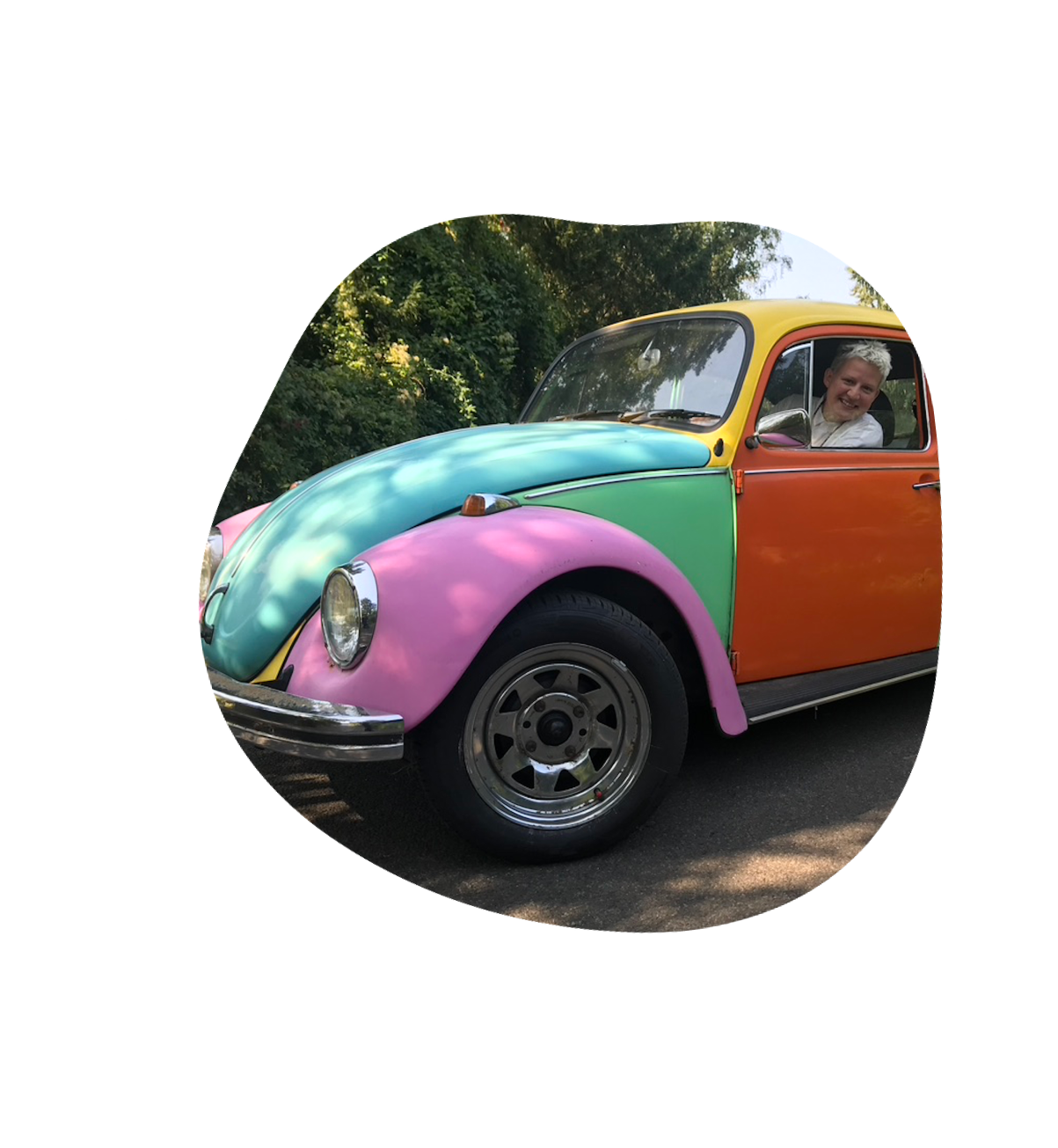 Beetle animated scene