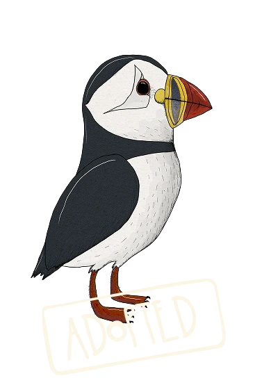 TONDA THE PUFFIN