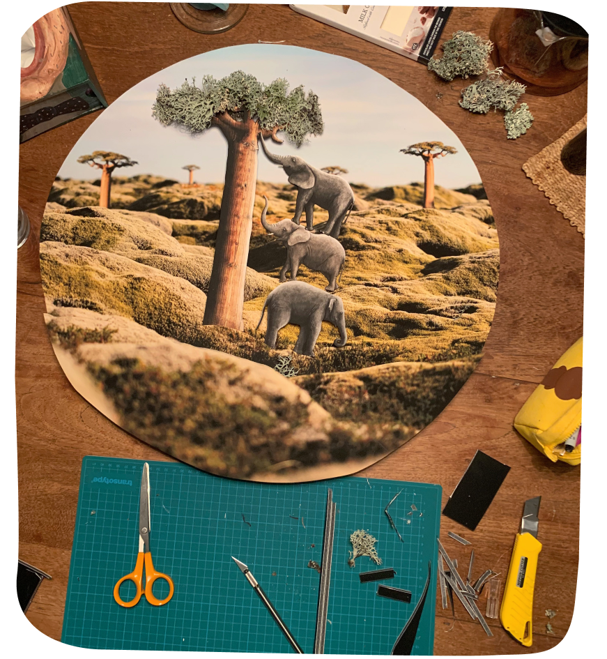 Sloni s baobabem – diorama