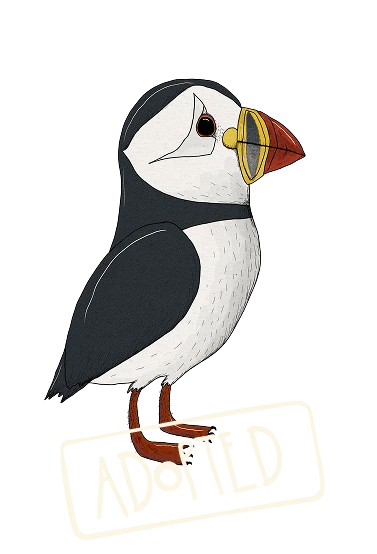 TONDA THE PUFFIN